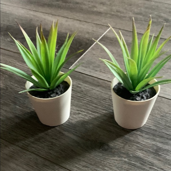 Two small artificial plants in vase - Picture 1 of 4